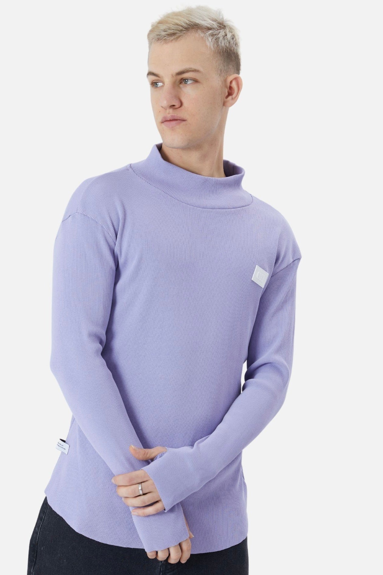 Herren Rundhals Sweatshirt Regular Fit Pullover